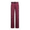 Alpine Guide GTX Performance Pants W Redwood