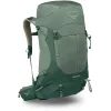 STRATOS 36 pine leaf green