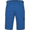 Runbold IV Shorts Men tschiel