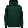 POC Hood Jr  Pargasite Green