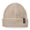 Perimeter Rolled Beanie pebble