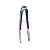 Domane SL5 Disc Women44-54 Quicksilver/Black 270mm, 53mm