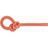 8.7 Crag Sender Dry Rope 60m vibrant orange-zen
