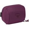 OZONE TOILETRY KIT, moody burgundy