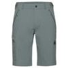 Runbold IV Shorts Men strata