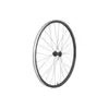 Wheel Front  Paradigm 23 Disc 12T Black Front