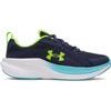 BGS Assert 11-BLU