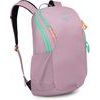 ASTRONOVA 23 iris pink
