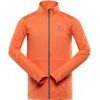 GOLL spicy orange