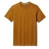 SMARTWOOL M MERINO SHORT SLEEVE TEE, fox brown