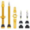 Tubeless Valve Stem Kit 60mm zlatá
