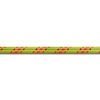 Ice Line Unicore 8,1 mm golden dry anis 60 m
