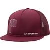 Citizen of the Mountain Hat Redwood