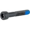 M8x1.25x45mm Socket Head Cap Screw SS 304