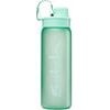 Bottle - Mint 650 ml