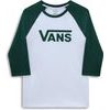 VANS MN VANS CLASSIC RAGL WHITE/BISTRO GR