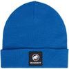 Fedoz Beanie tschiel