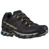 Ultra Raptor II Leather Wide GTX, Black/Cedar