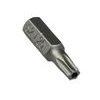 Powerfly/B-Cycle T25 Torx Security Bit 2018 Grey