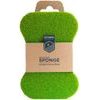 Non Scratch Sponge