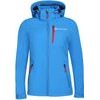 DERAFA blue aster