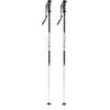 Sport ski poles, black matt/silver