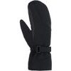 Sherpa 2.0 Gtx Mitten Ski black