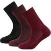 Daily Merino Medium Sock 3Pk Wmn, Beetroot Mix