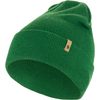 Classic Knit Hat, Palm Green