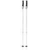 Viva Sport ski poles, white/silver/pink