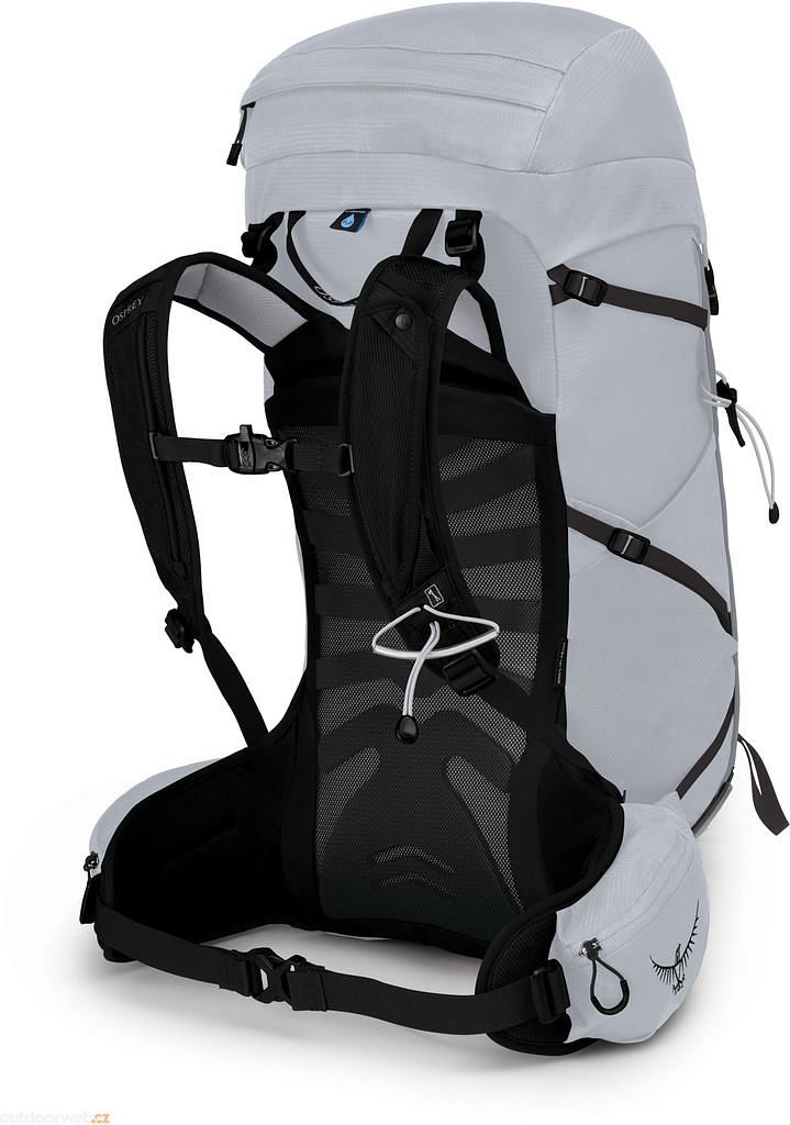 TEMPEST 30 III, aluminium grey - women's hiking backpack - OSPREY