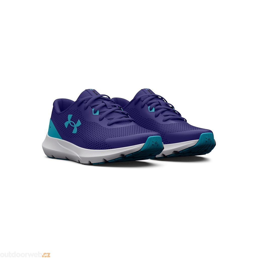 ua bgs surge rn