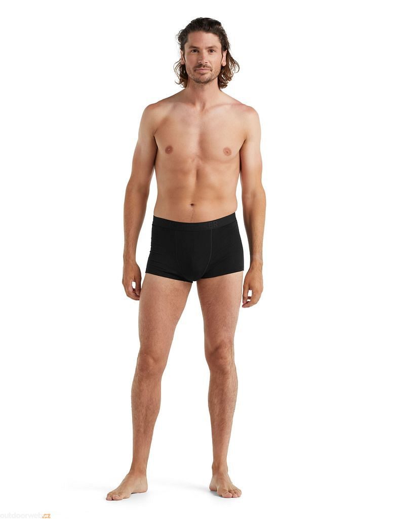  Icebreaker Merino Mens Anatomica Cool-Lite™ Underwear - Trunks,  Small, Black : Clothing, Shoes & Jewelry