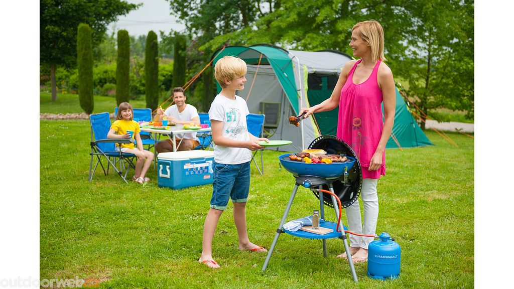 Camping party grill online