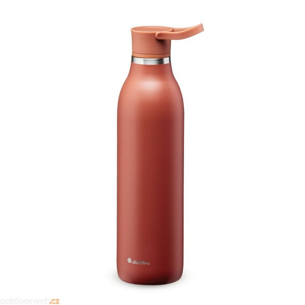 Aladdin CityLoop Thermavac Water Bottle