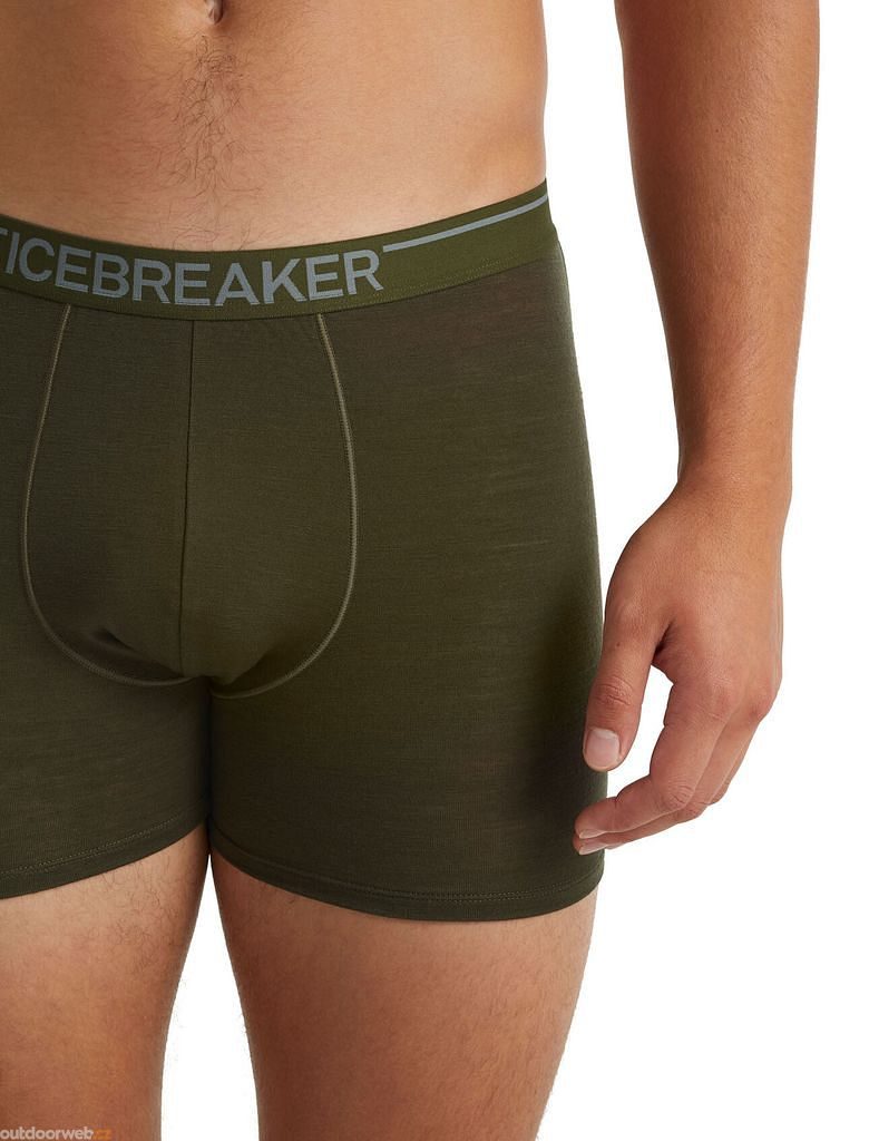 Buy Icebreaker Anatomica Boxers Baselayer Shorts online at Sport