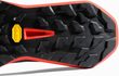 Aenergy Trail Endurance Ultra Low Men nebla-mammut red