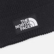 TNF LOGO BOX POM BEANIE, TNF BLACK