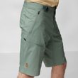 Abisko Hike Shorts M Buckwheat Brown