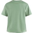 Fjällblomster Logo T-shirt W Misty Green