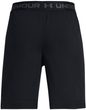 UA Vanish Shorts Black