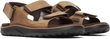 COVE LTR BACKSTRAP M coffee