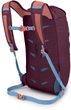 DAYLITE CINCH PACK 15 moody burgundy