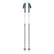 EXPEDITION 2 PRO SKI POLES
