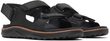 COVE LTR BACKSTRAP M black