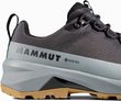 Ducan III LowTX Men black-platinum