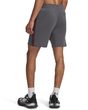UA Icon Fleece Short Taping-GRY