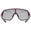 SEQUENZE CV BURGUNDY MATT / MIR.RED 2026