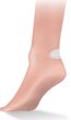 Blister Plasters