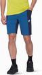 Ducan Shorts Men marine-tschiel